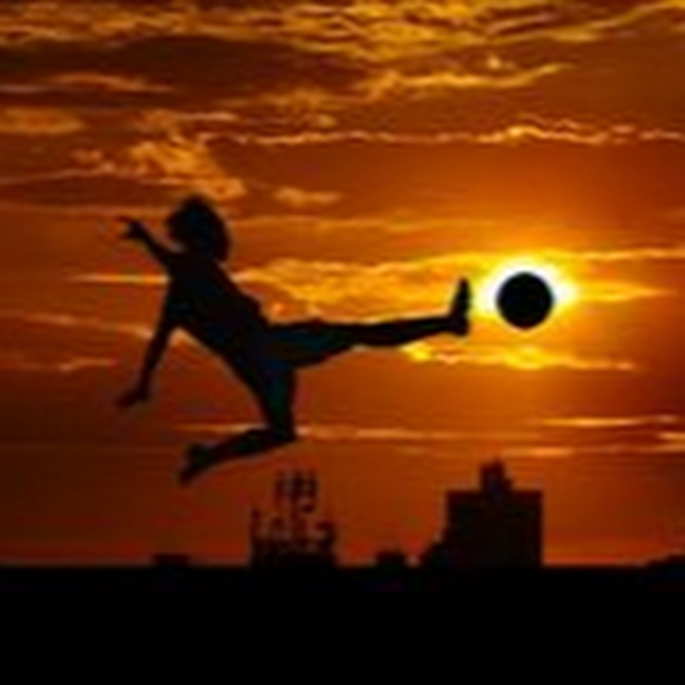 Meet your Posher, Shelby